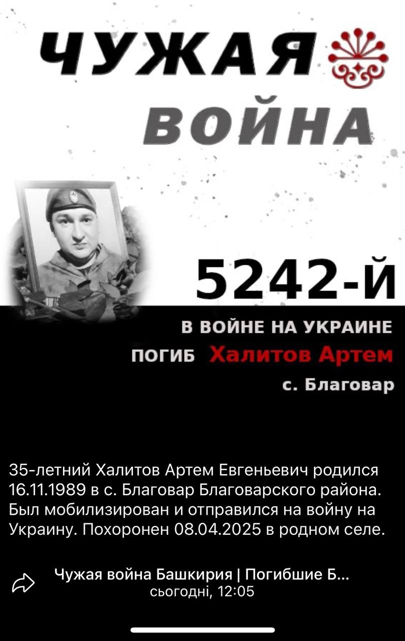 Халитов Артем Евгеньевич