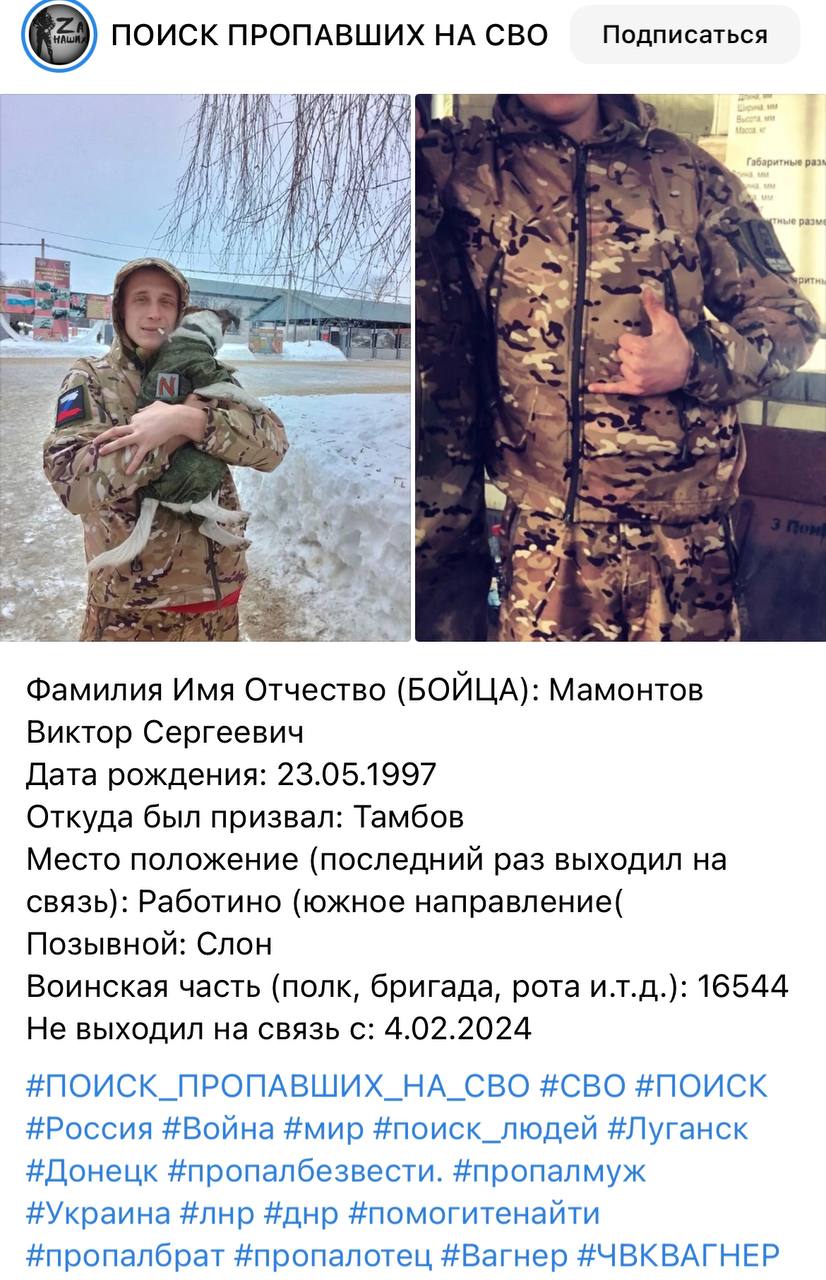 Мамонтов Виктор Сергеевич