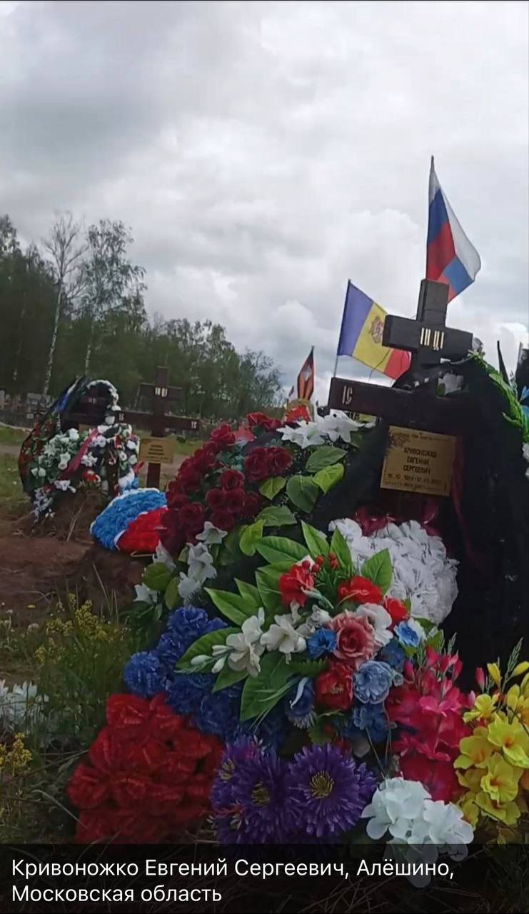 Кривоножко Евгений Сергеевич