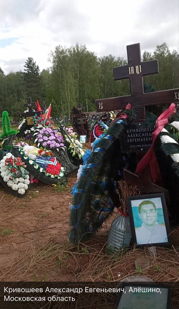 Кривошеев Александр Евгеньевич