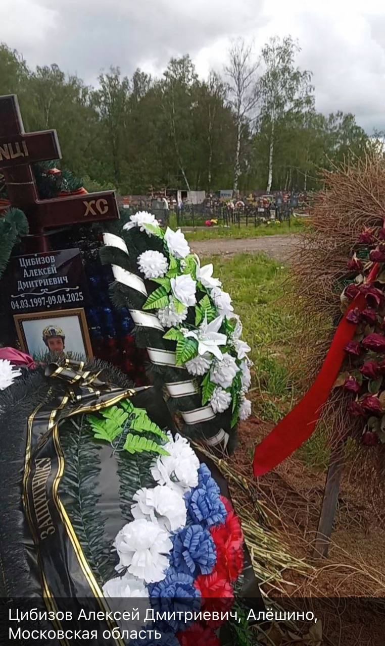 Цибизов Алексей Дмитриевич