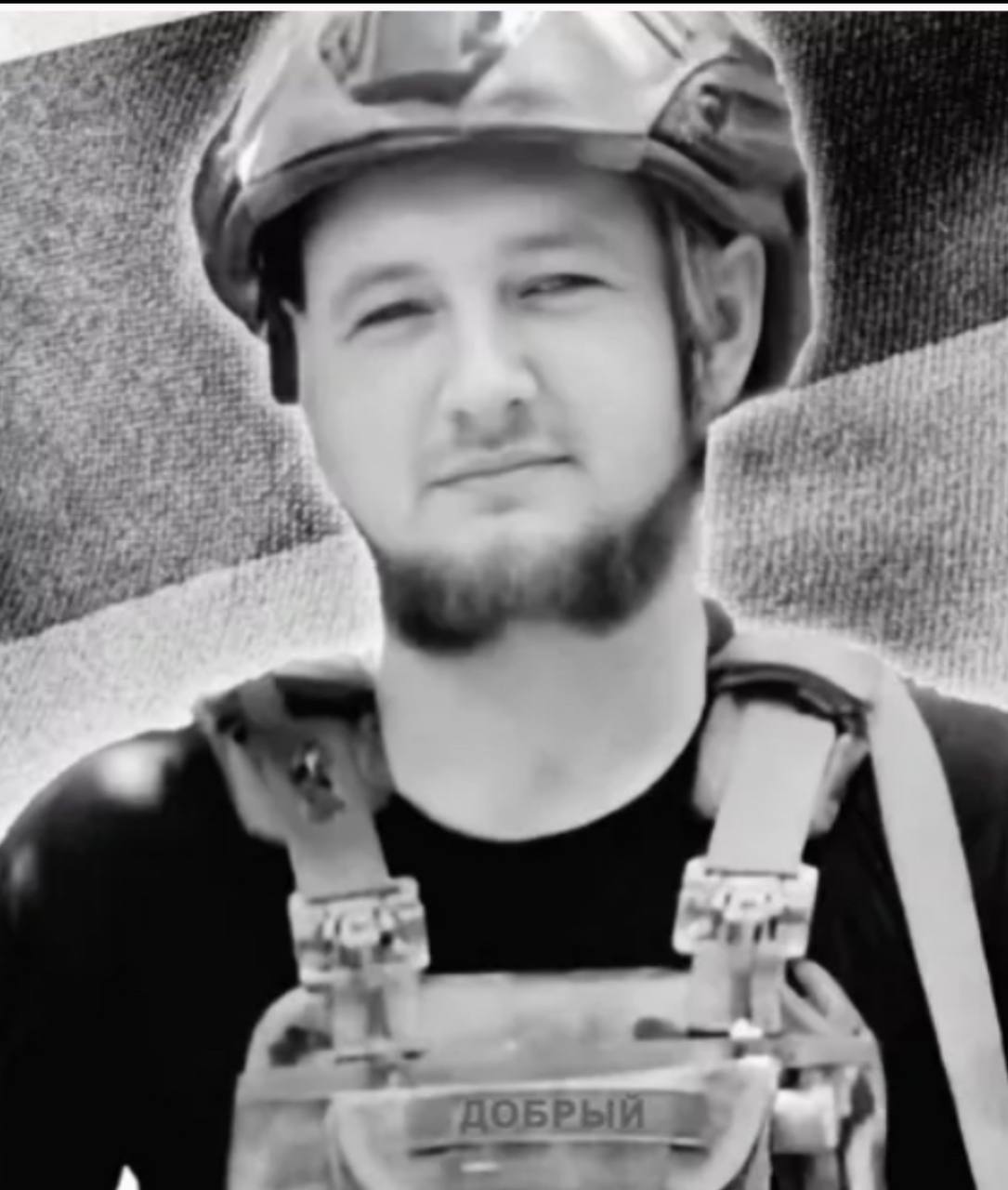 Сафронов Дмитрий