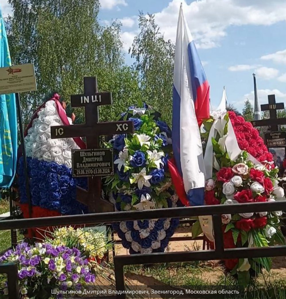 Шульгинов Дмитрий Владимирович