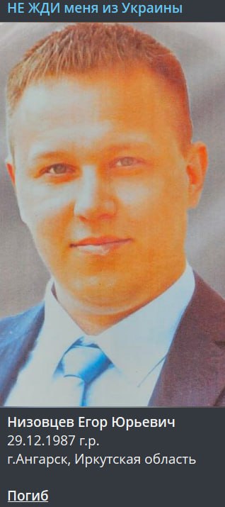 Низовцев Егор Юрьевич