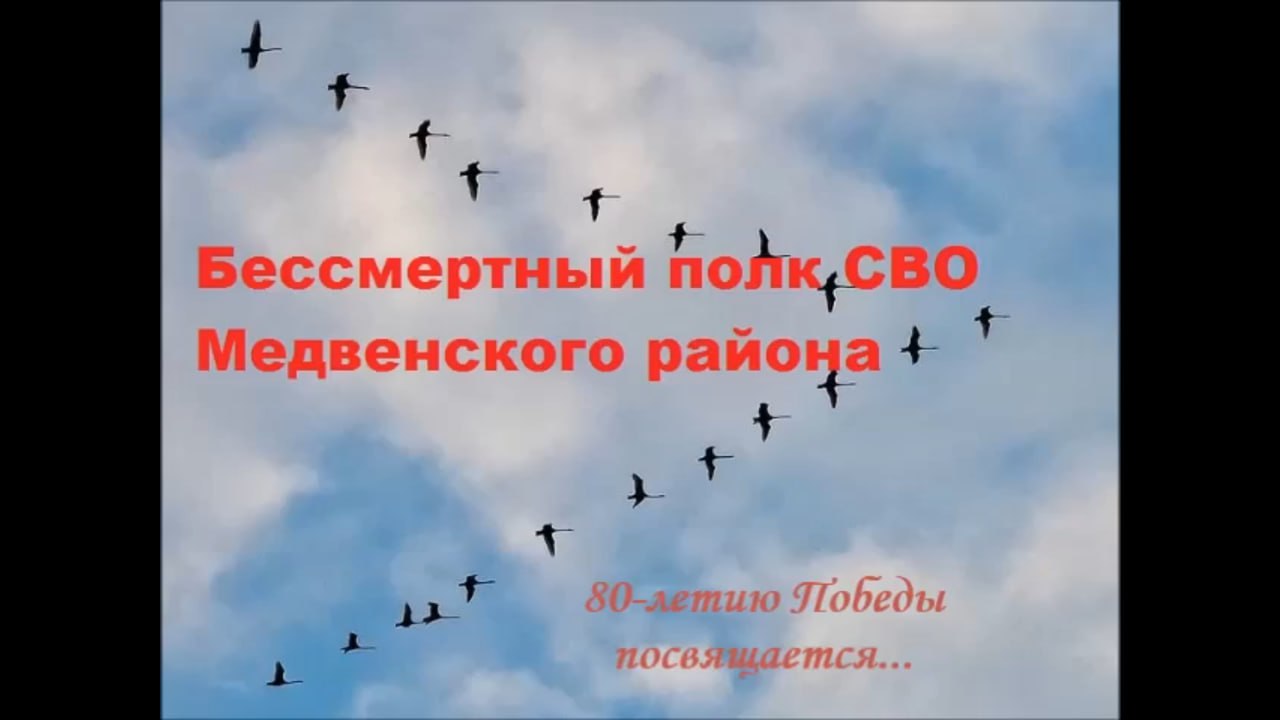 Долженков Андрей Анатольевич