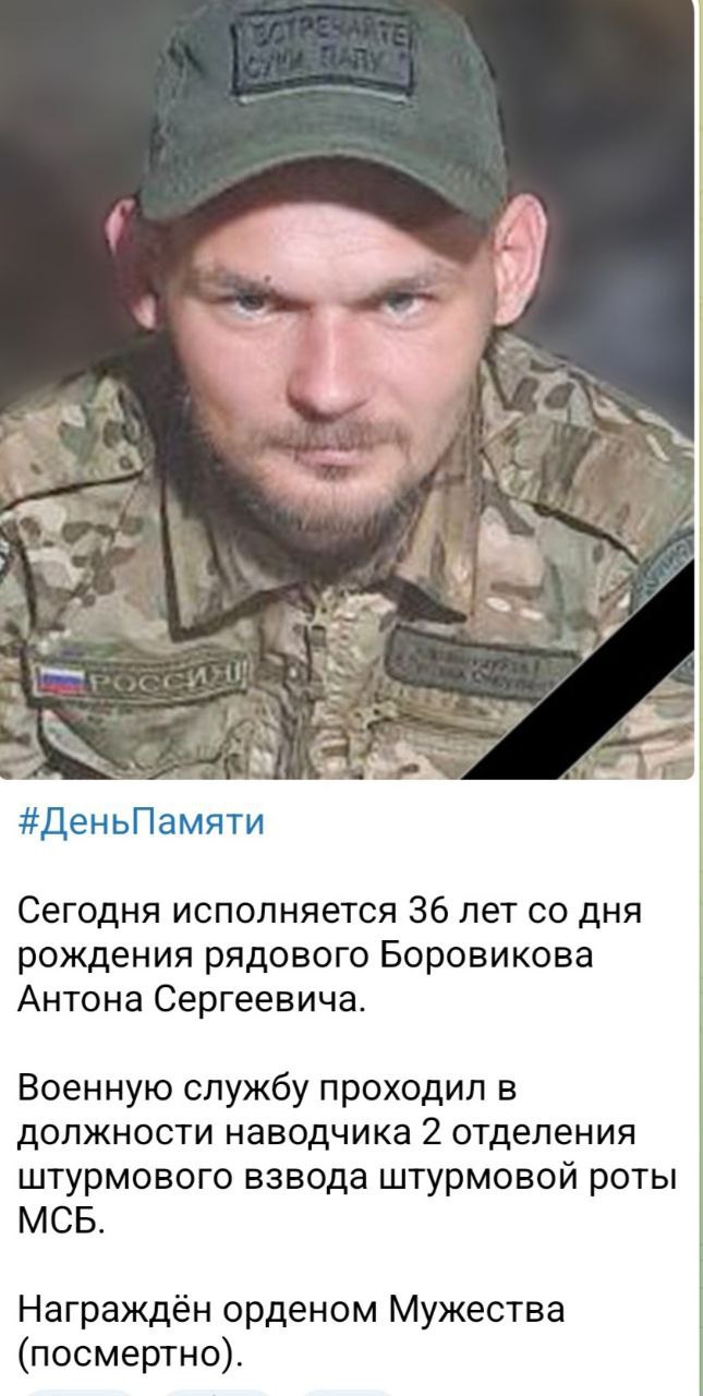 Боровиков Антон Сергеевич