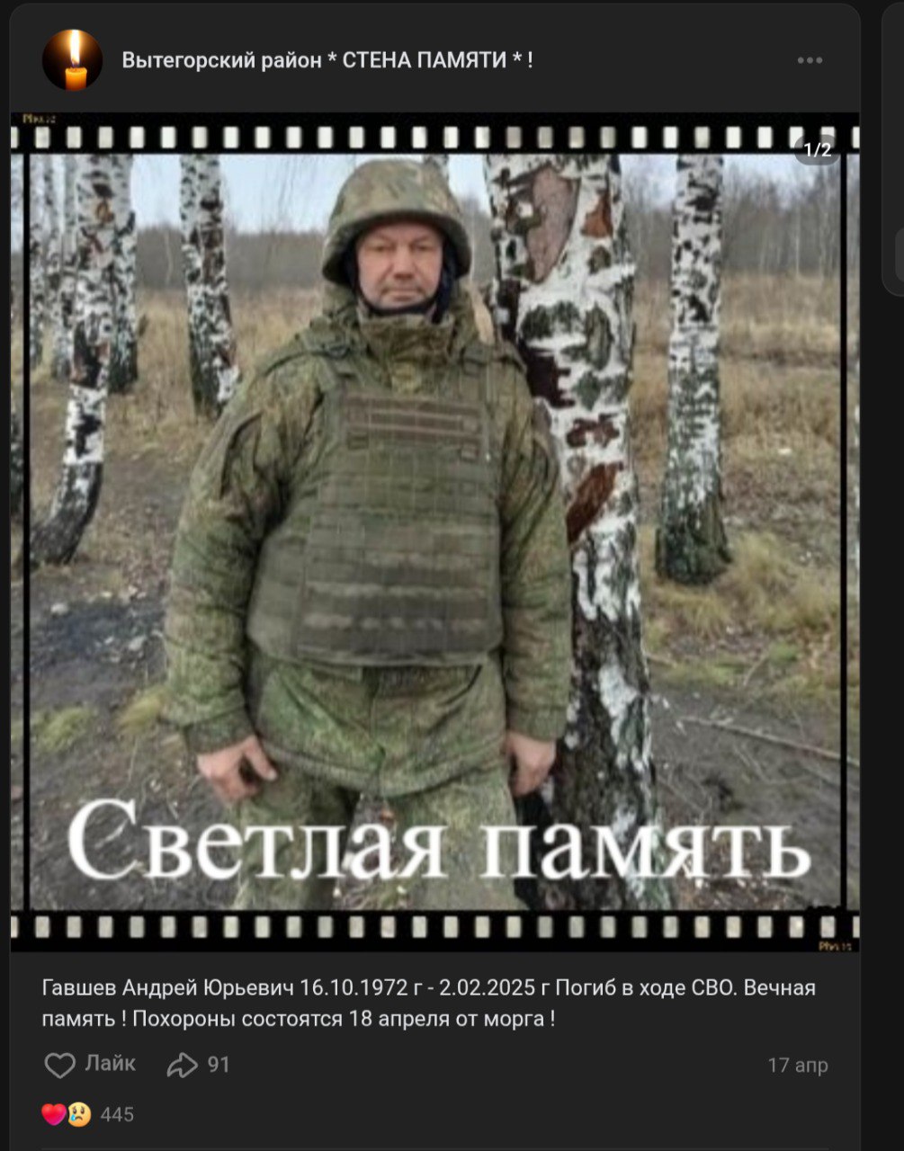 Гавшев Андрей Юрьевич