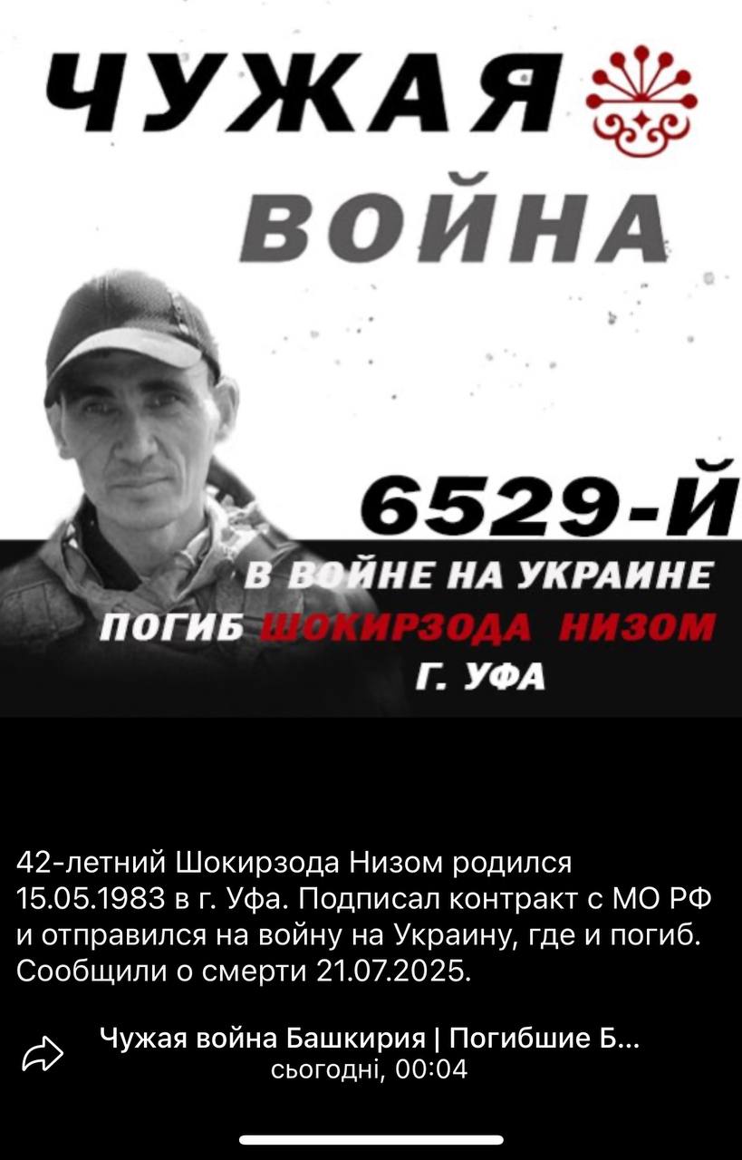 Шокирзода Низом