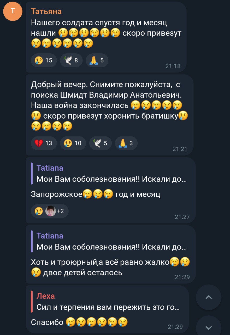 Шмидт Владимир Анатольевич