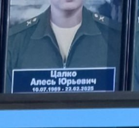 Цалко Алесь Юрьевич