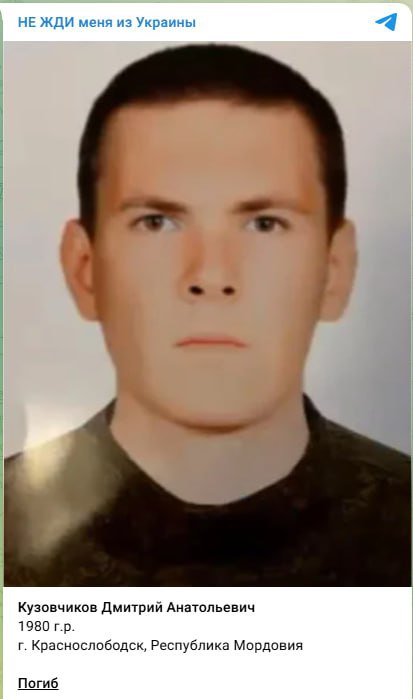 Кузовчиков Дмитрий Анатольевич