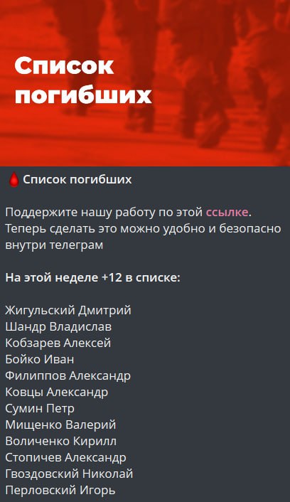 Жигульский Дмитрий