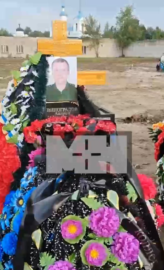 Виноградов Андрей