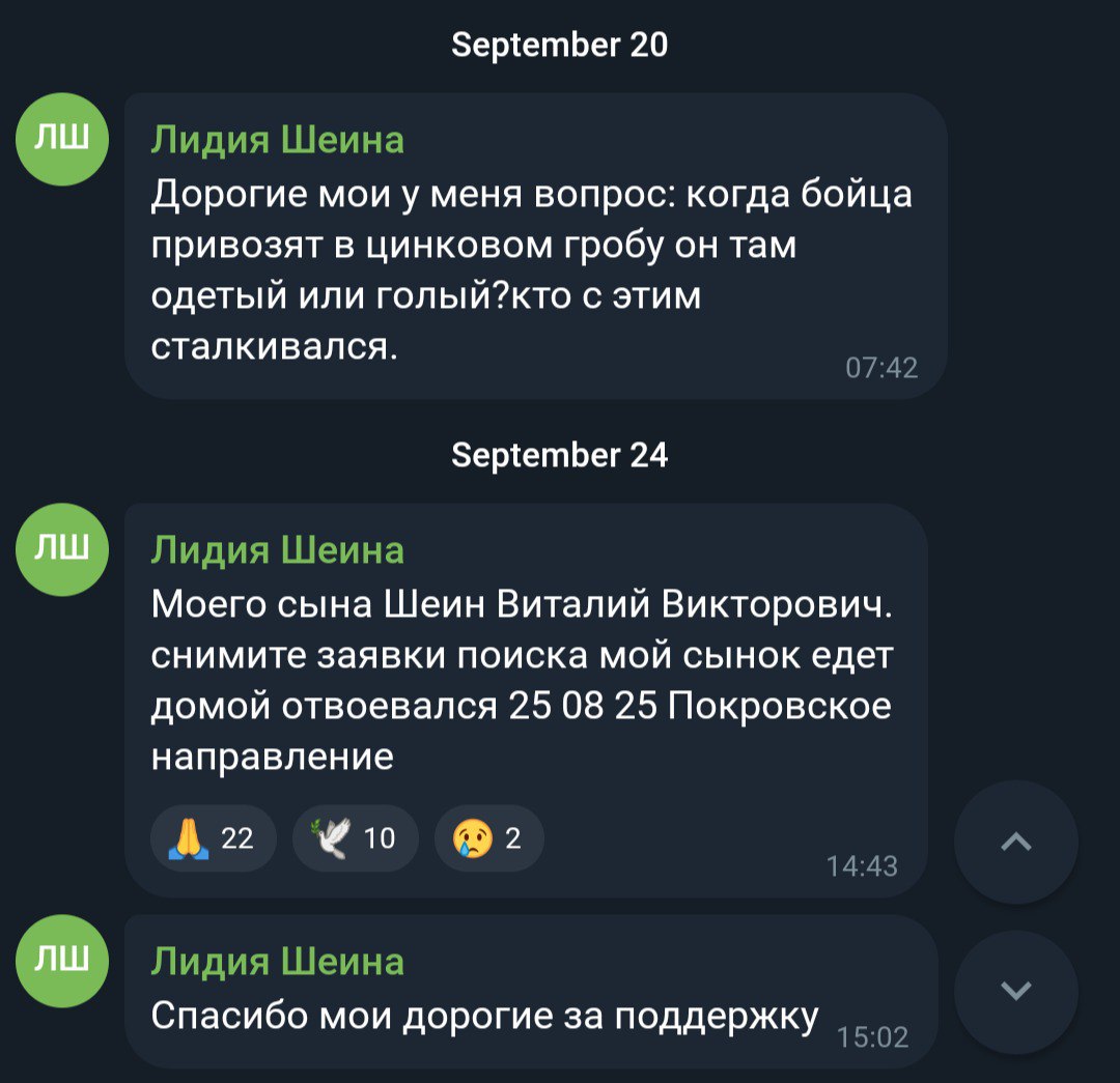 Шеин Виталий Викторович