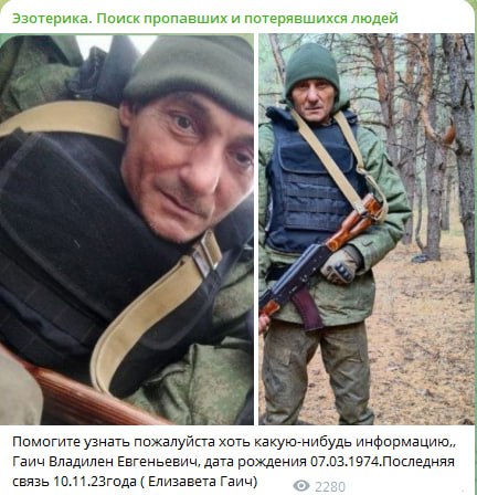 Гаич Владилен Евгеньевич