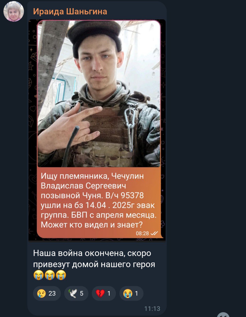 Чечулин Владислав Сергеевич