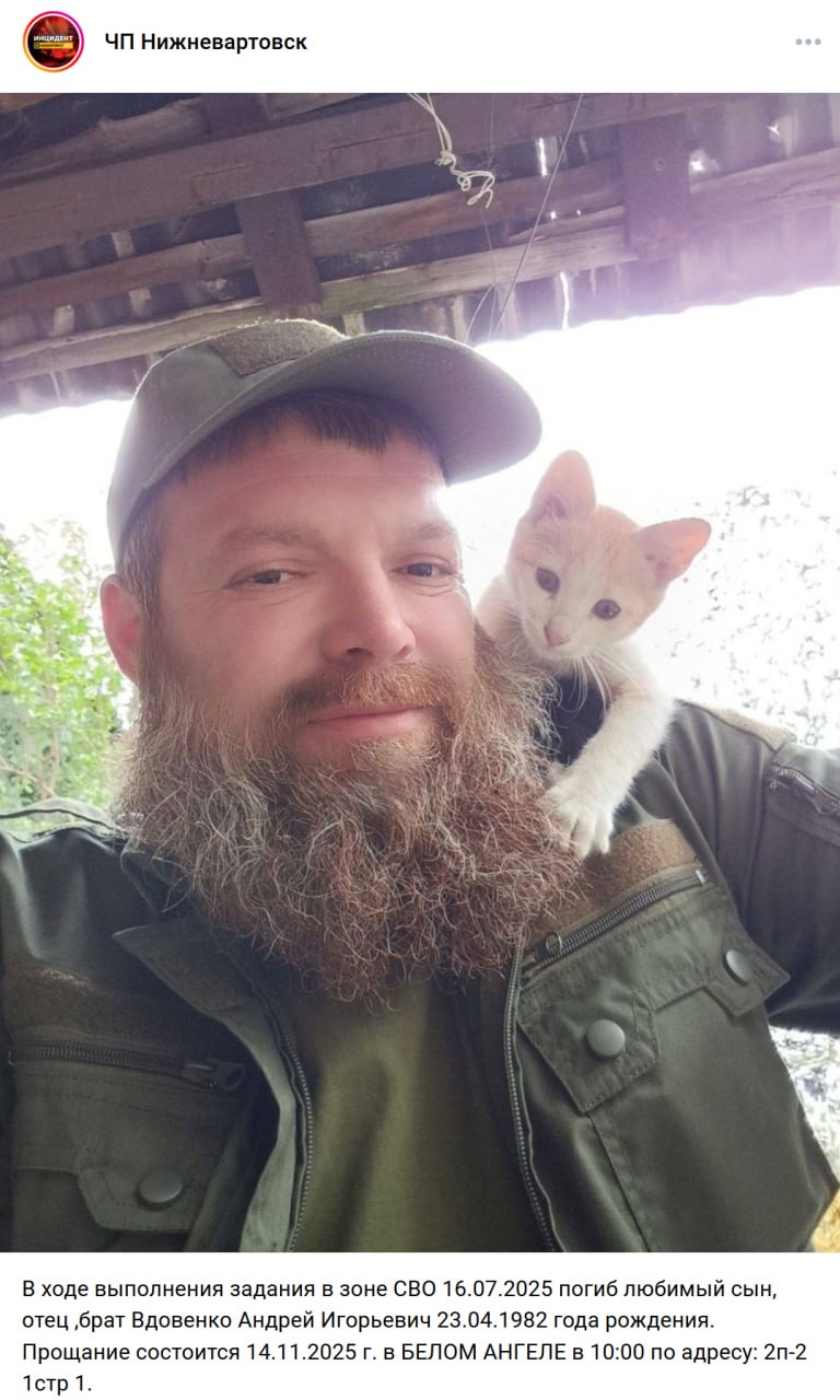 Вдовенко Андрей Игорьевич (Игоревич)