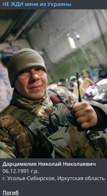 Дарцимелия Николай Николаевич