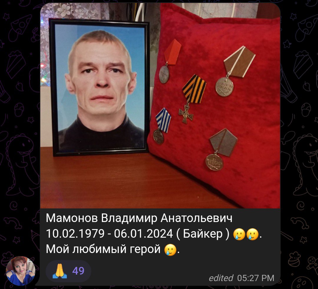 Мамонов Владимир Анатольевич