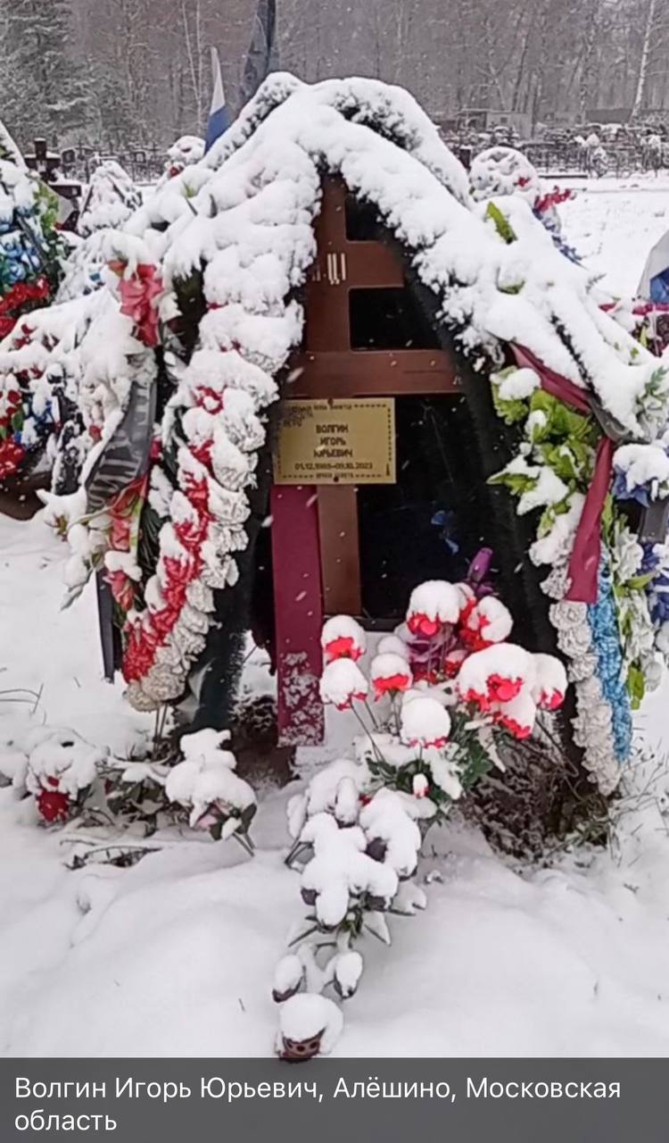 Волгин Игорь Юрьевич